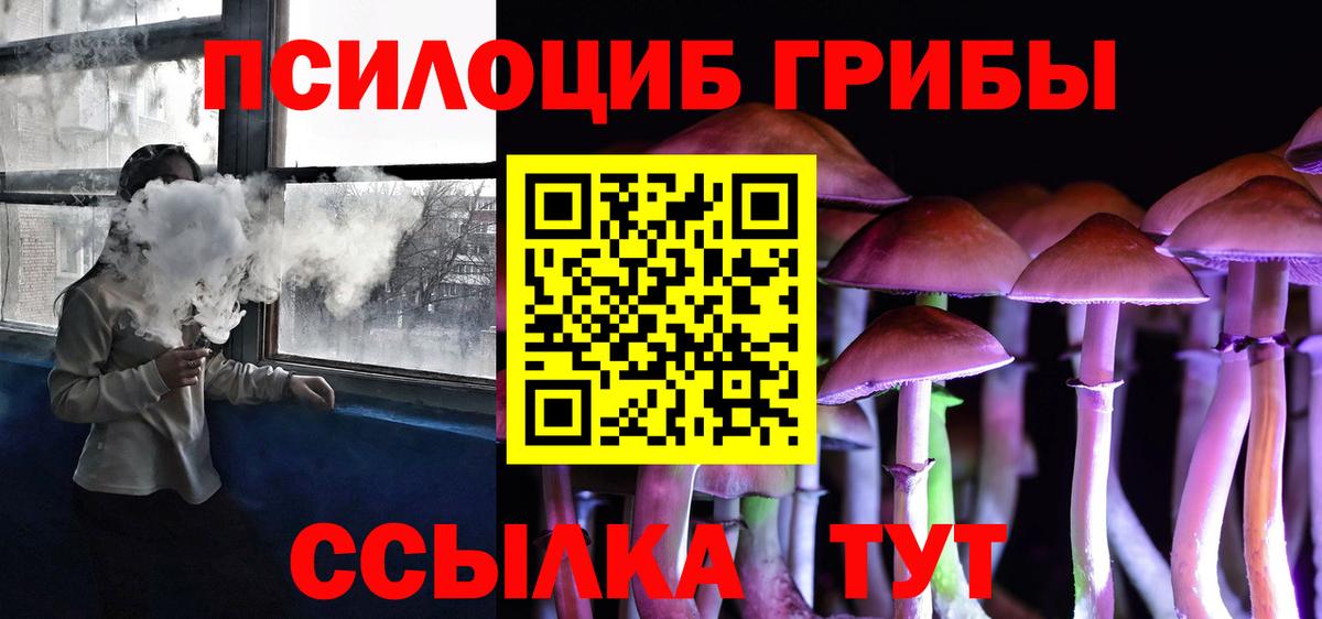 Киселёвск  Псилоцибиновые грибы прущие грибы  Вход с VPN 